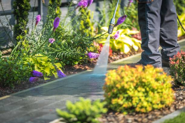 Best Soft Washing for Delicate Surfaces in Needville, TX